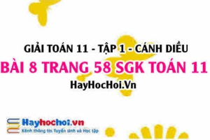 Giải bài 8 trang 58 Toán 11 tập 1 SGK Cánh Diều